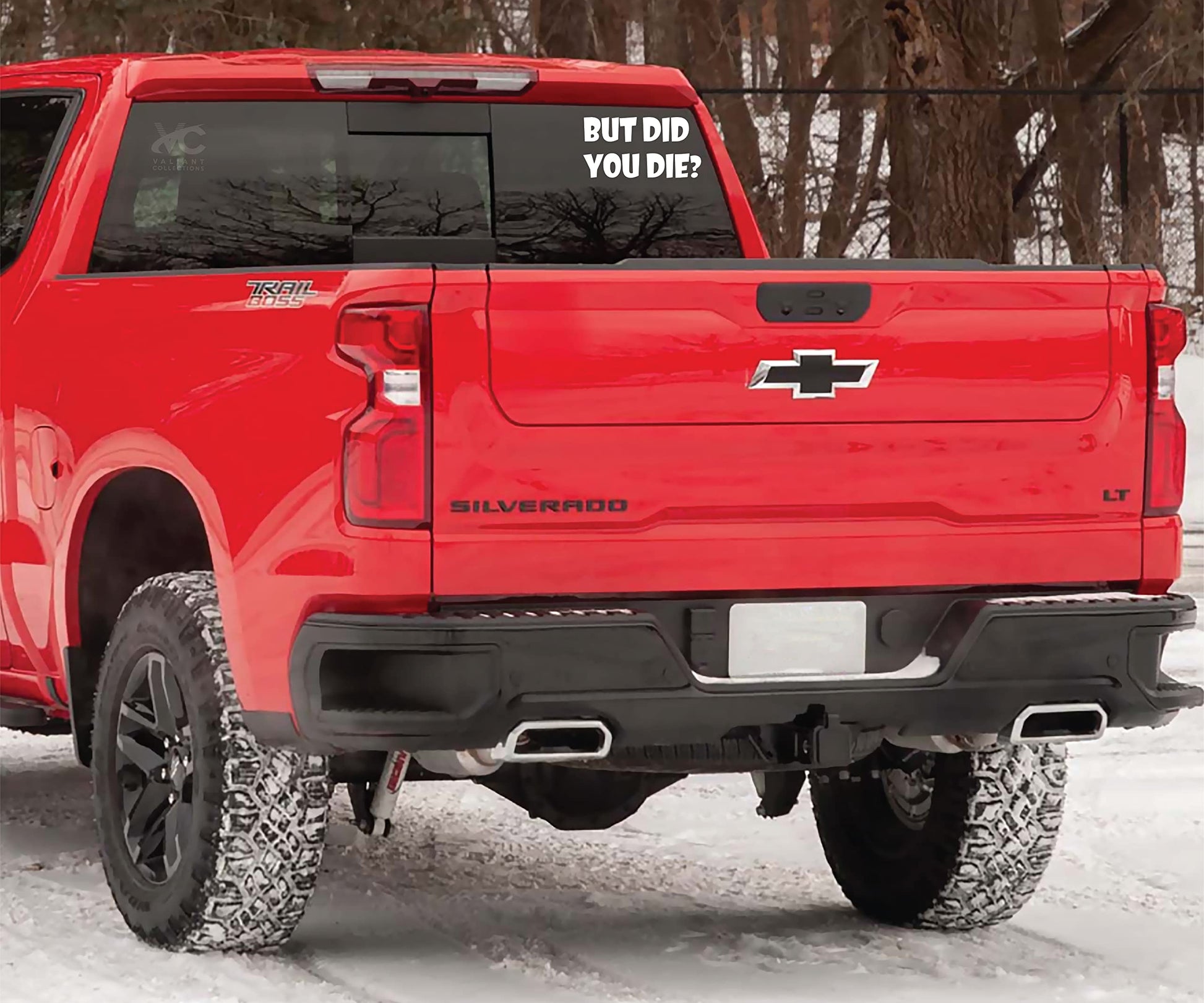 "But DID You Die" Funny Car Vinyl Bumper Sticker - CarsBling - Best Car Gifts & Accessories
