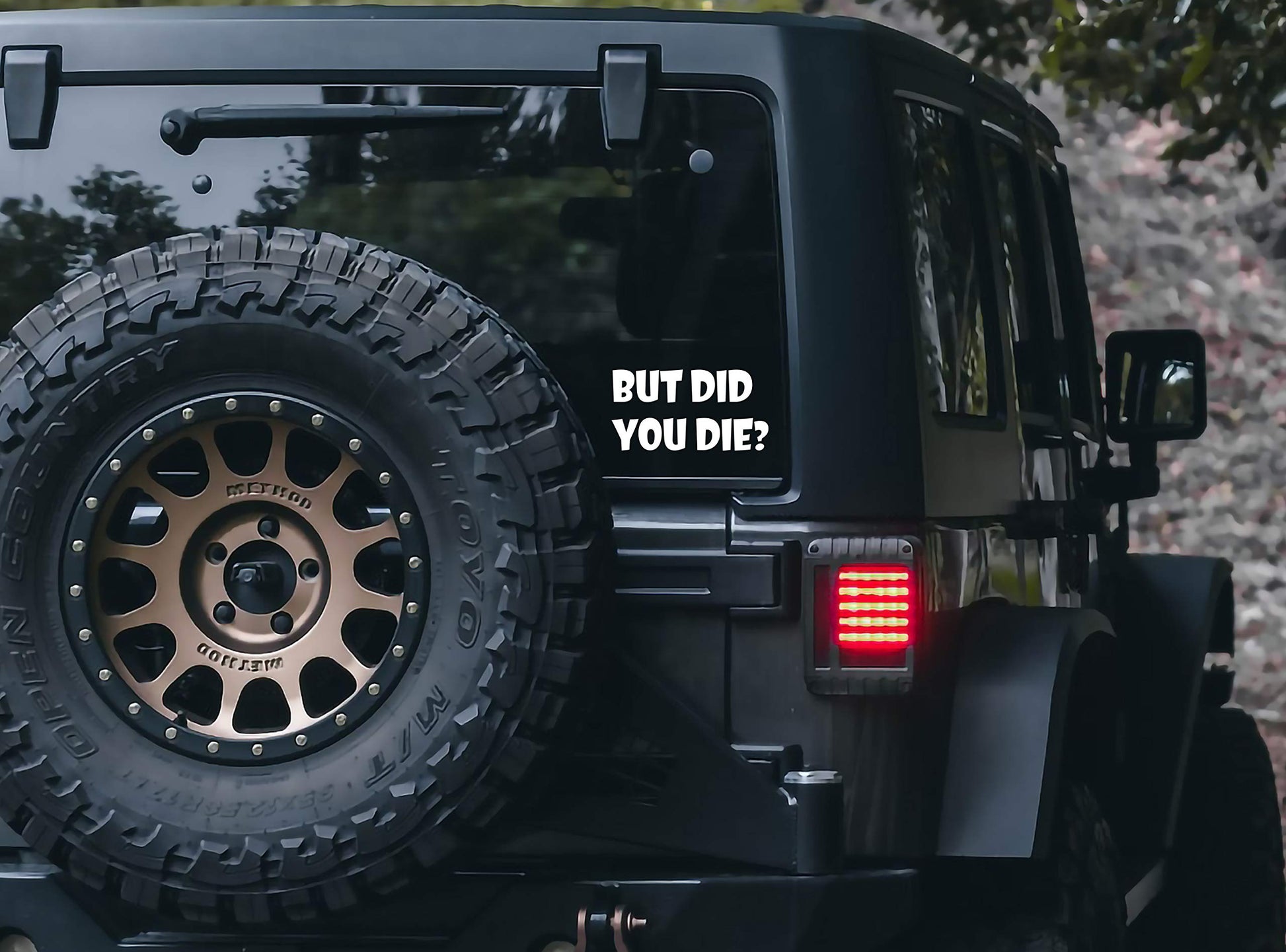 "But DID You Die" Funny Car Vinyl Bumper Sticker - CarsBling - Best Car Gifts & Accessories