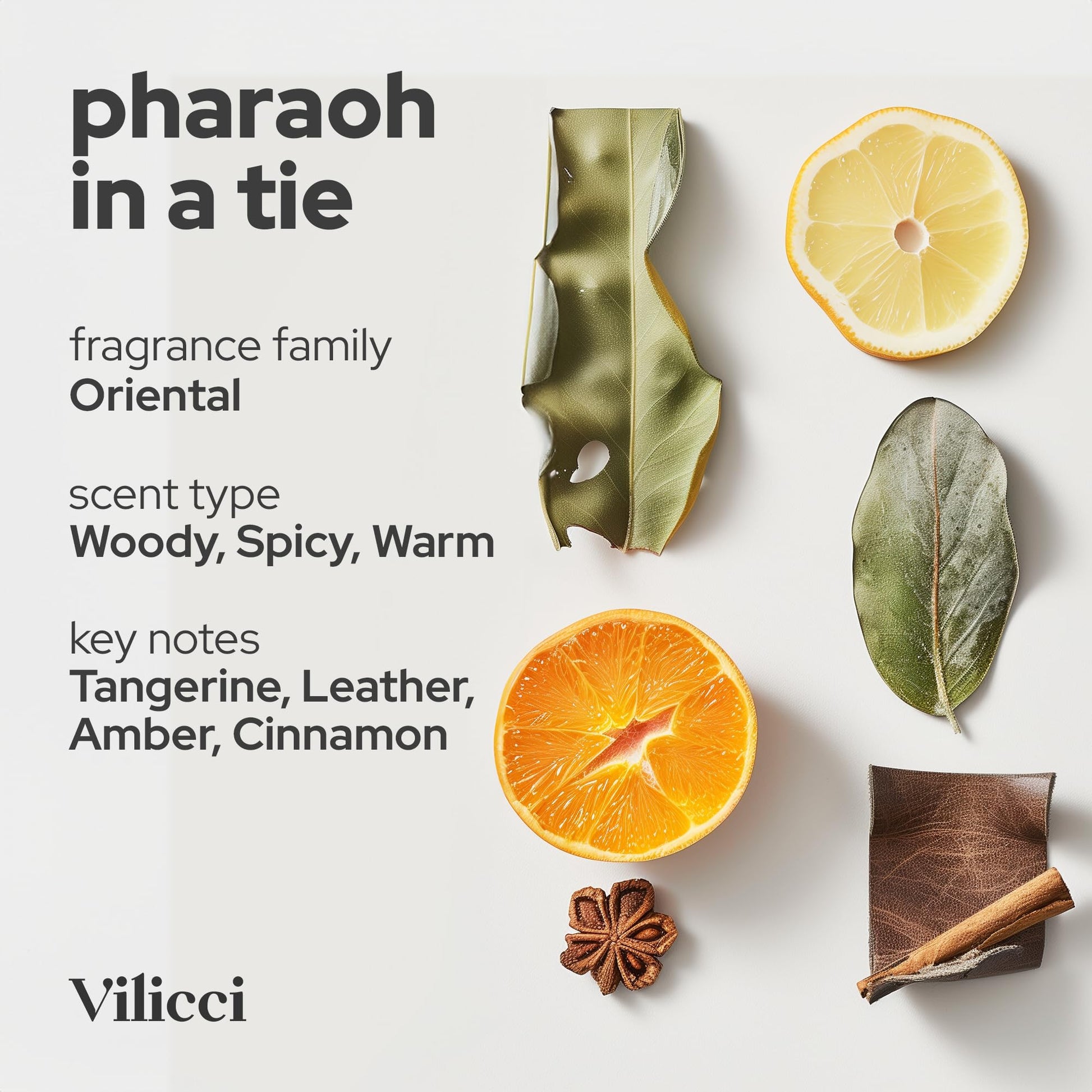 Vilicci Car Air Freshener - Pharaoh in a Tie Scent - CarsBling - Best Car Gifts & Accessories