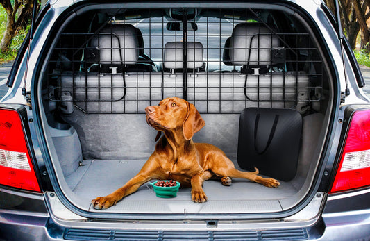 Heavy-Duty Foldable & Adjustable Dog Car Barrier - CarsBling - Best Car Gifts & Accessories