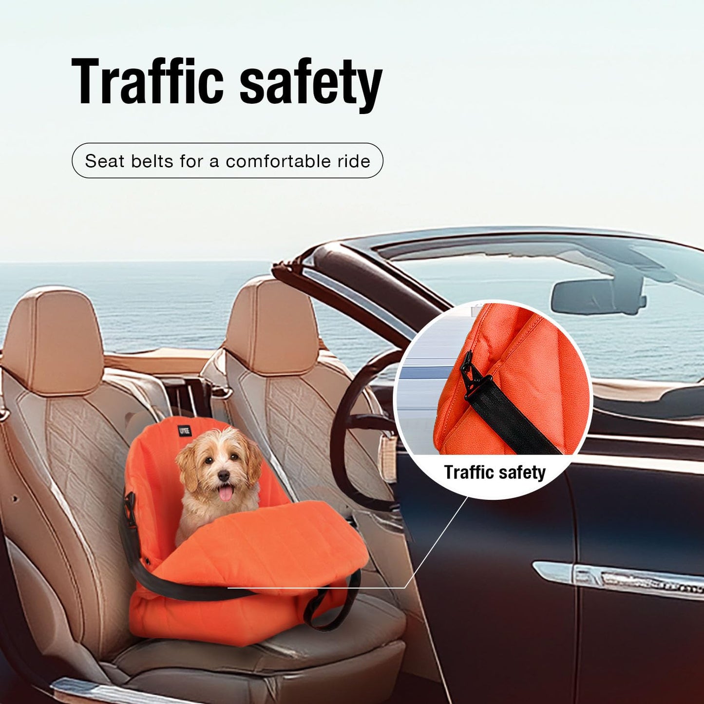 Convertible Dog Carrier and Car Seat